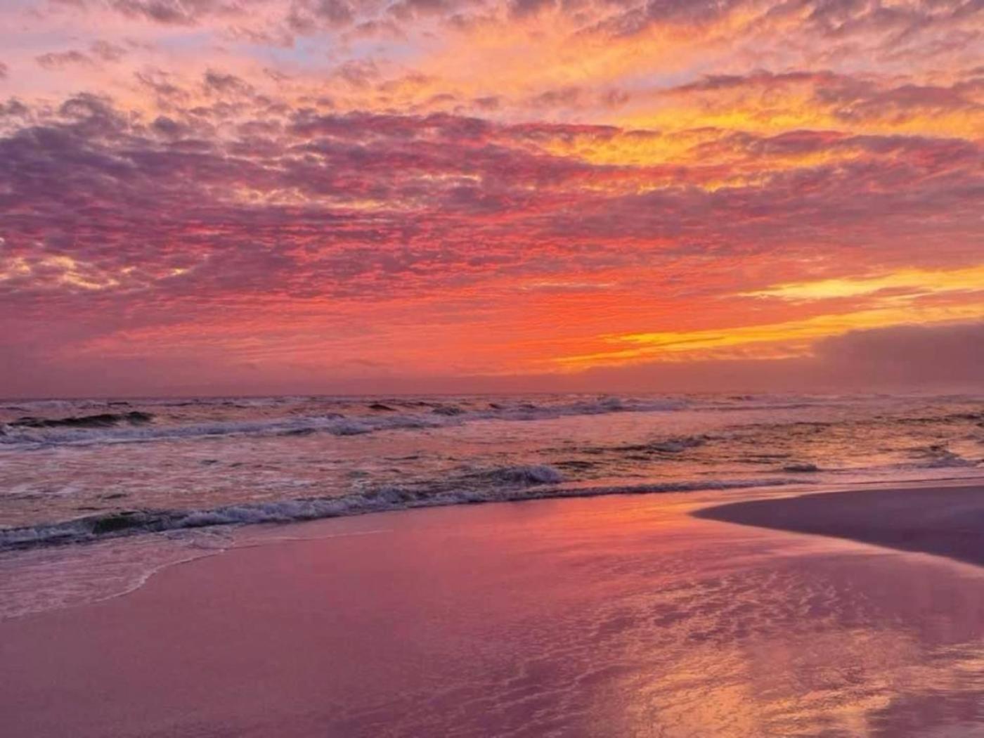 5 Star Resort 11Th Fl Stunning Sunrise 2Br 2Ba King Suite,Pools ,Shuttle Or Walk To Beach Destin Exteriör bild